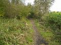 wandeling 22-10-2017_(41)